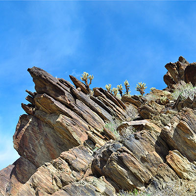 Murray Canyon Trail