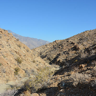 East Fork Trail